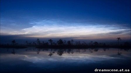 Тропический вечер